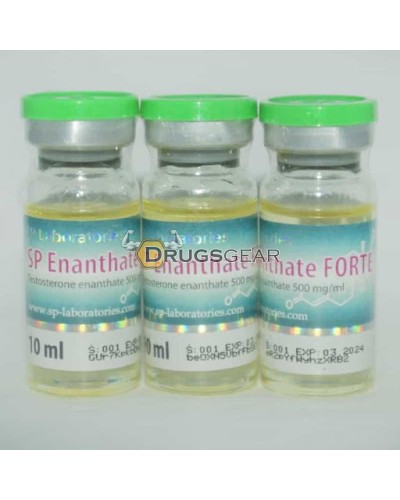SPL Enanthate Forte, 1 vial 10ml 500mg per mlx