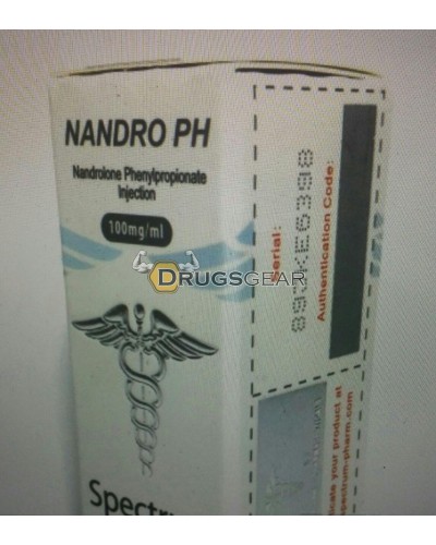 SP Nandro PH (Nandrolone Phenyl) 1 vial 10 ml 100mg per ml