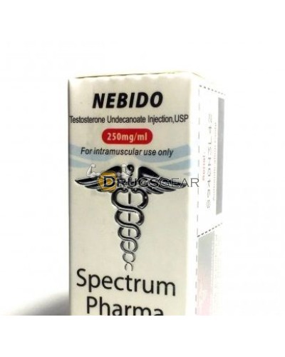 SP Nebido (Testosterone Undecanoate) 1 vial 10ml 250mg per ml