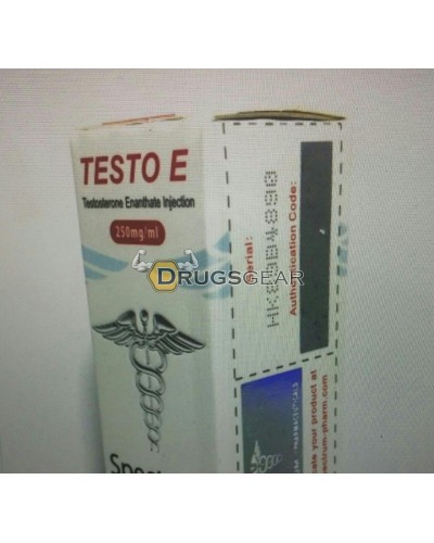 SP Testo E (Testosterone Enanthate) 1 vial 10ml 250mg per ml