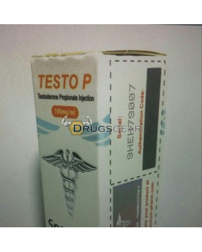 SP Testo P (Testosterone Propionate) 1 vial 10ml 100mg per ml