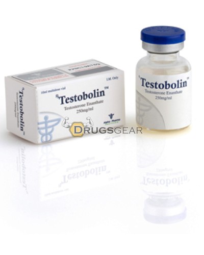 Testobolin (Testosterone Enanthate) 1 vial 250 mg per ml