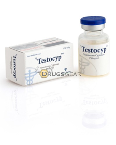Testocyp (Testosterone Cypionate) 1 vial 250 mg per ml