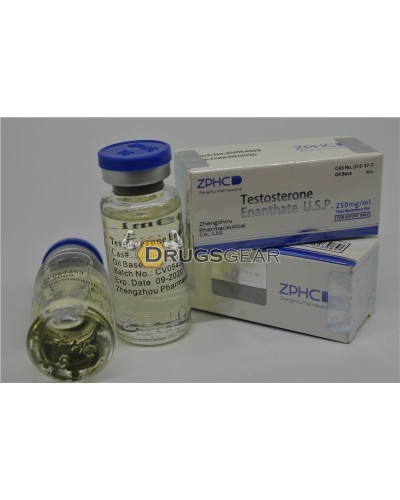 Testosterone Enanthate 1 vial 10ml 250mg per ml